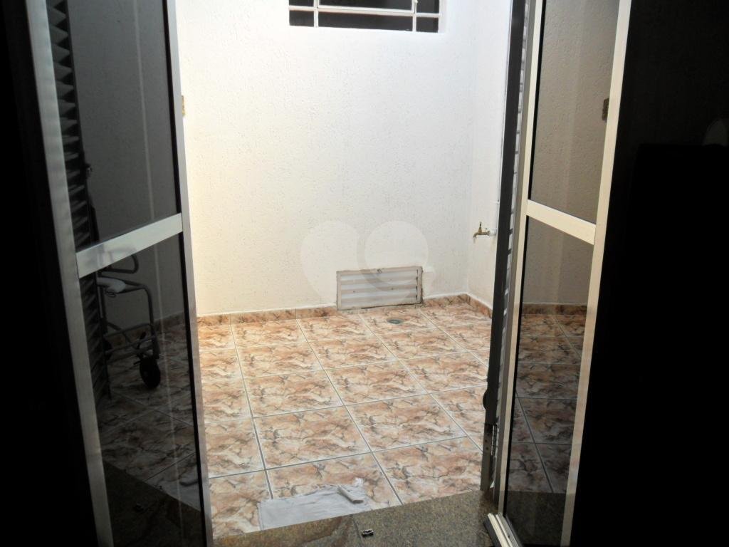 Exuberante no Horto Florestal