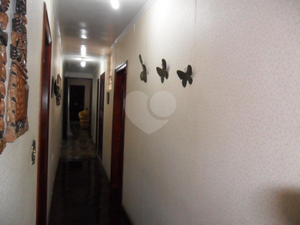 Exuberante no Horto Florestal
