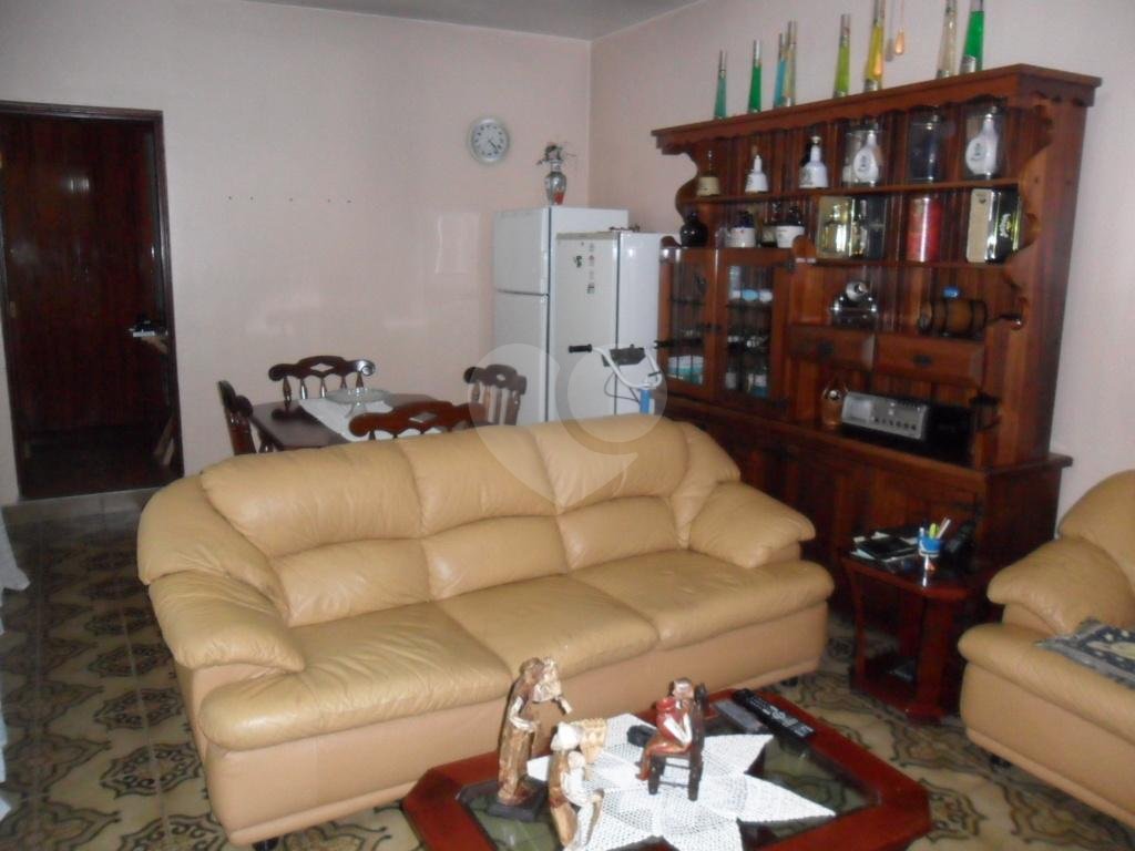 Exuberante no Horto Florestal