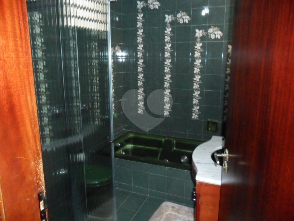 Exuberante no Horto Florestal