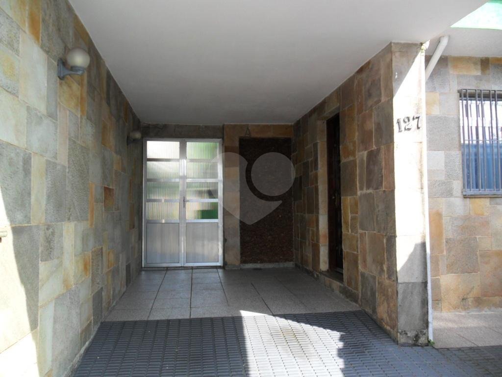 Exuberante no Horto Florestal