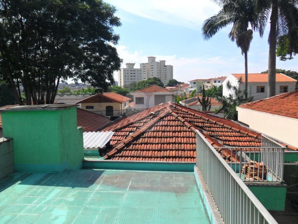 Exuberante no Horto Florestal
