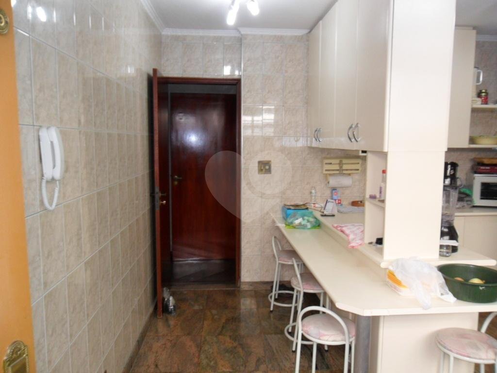 Exuberante no Horto Florestal