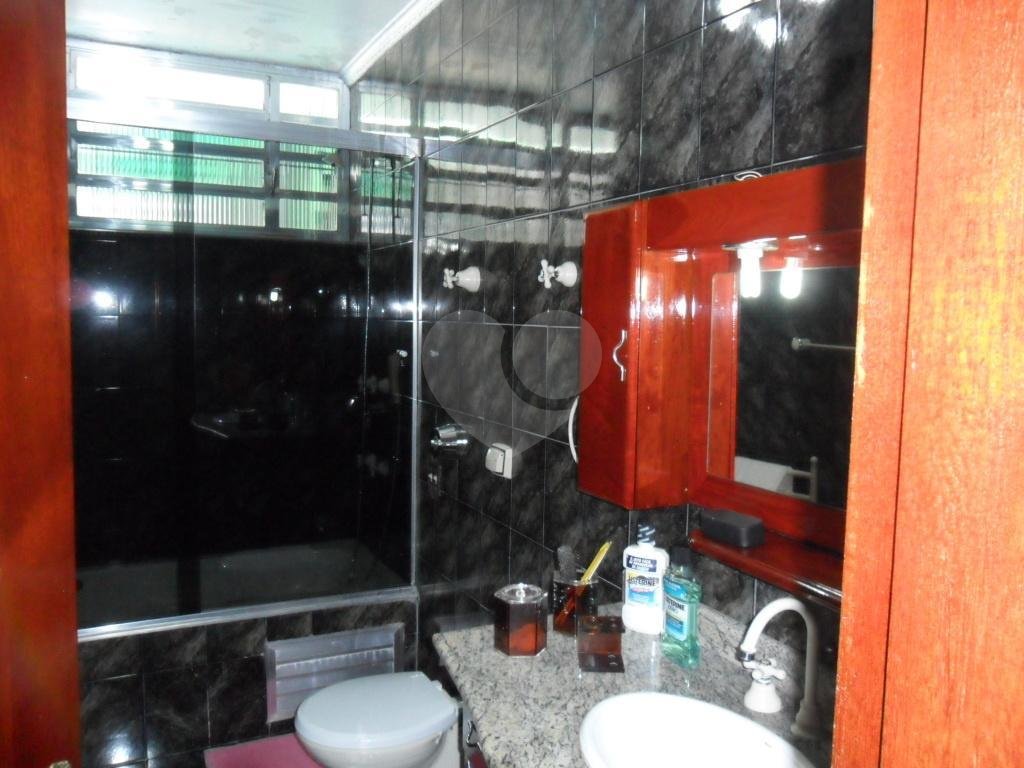 Exuberante no Horto Florestal