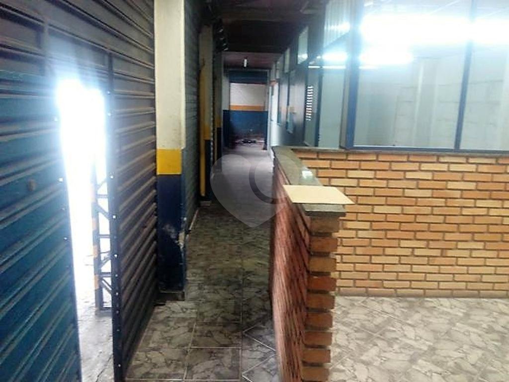 TERRENO em TUCURUVI