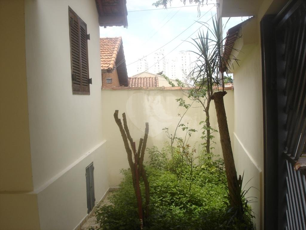Casas Tremembé