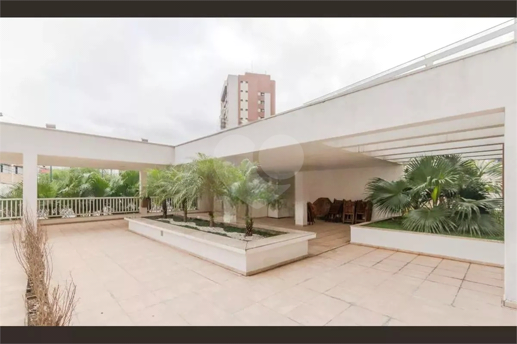 Maravilhoso Apartamento 3 Dormitórios na Vila Romana