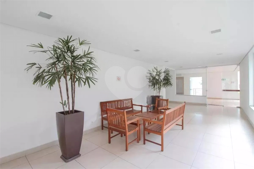 Maravilhoso Apartamento 3 Dormitórios na Vila Romana