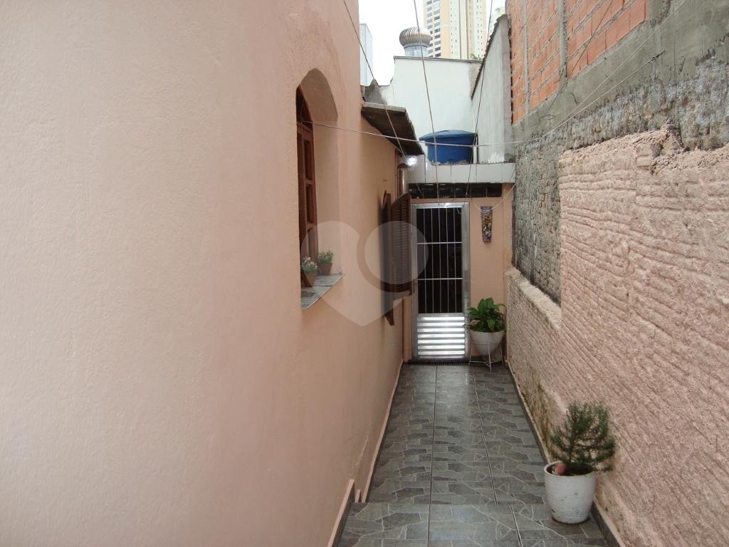 Terrea na Santa Terezinha