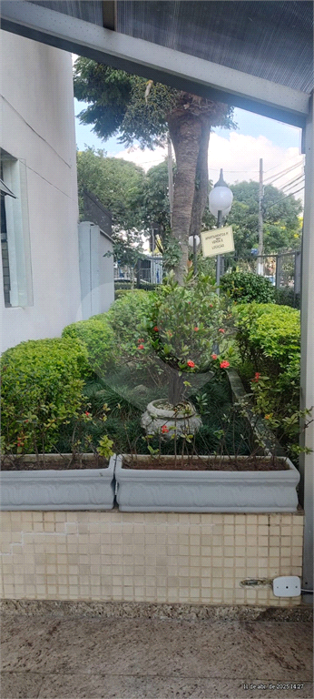 APARTAMENTO em CASA VERDE