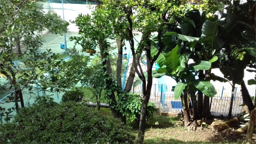 APARTAMENTO em TUCURUVI