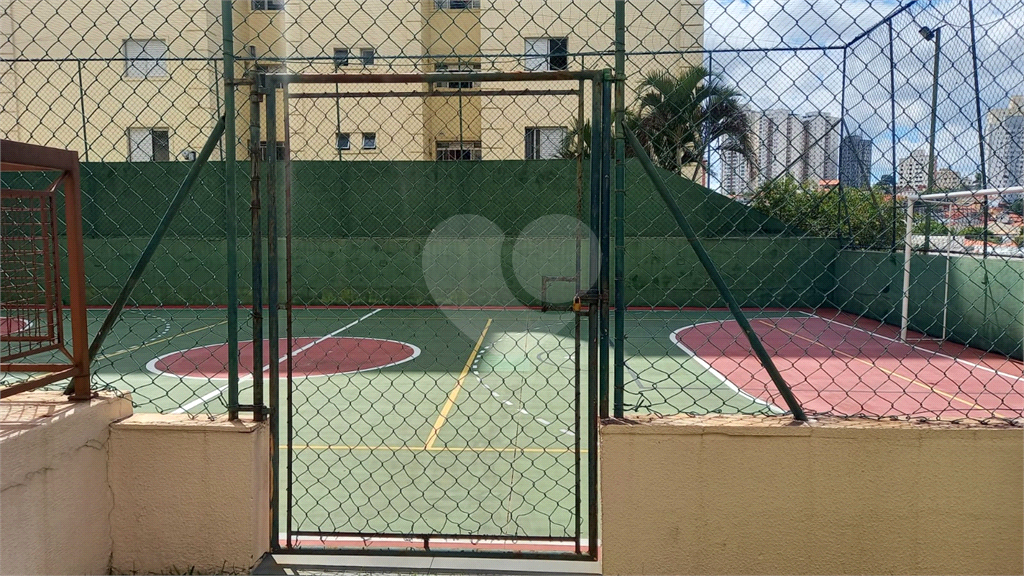 Apartamento, 3 quartos, 76 m² - Foto 25