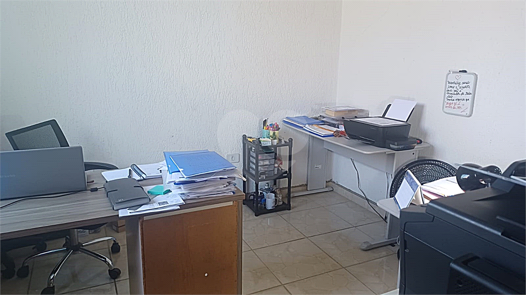 Ao lado das Avenidas:
Conceição, Guilherme Cotching e Alberto Byington.  