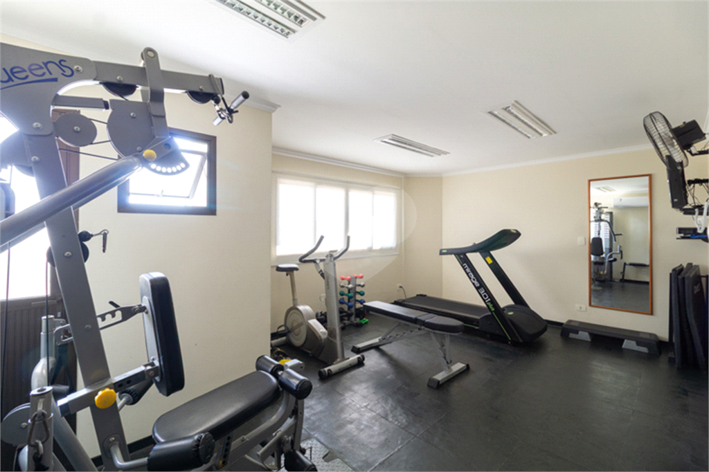 Exclusivo - Apartamento com Vista Livre e Ambientes Iluminados