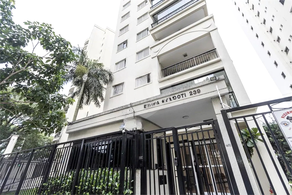 Apartamento Alto da Lapa 