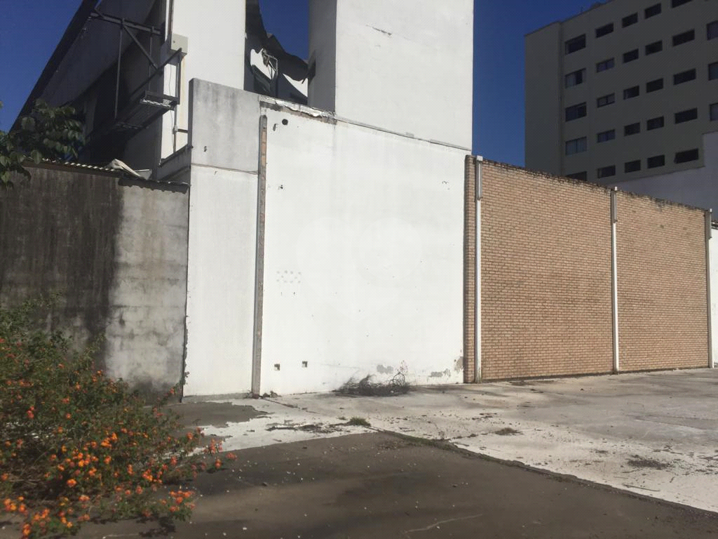Excelente Terreno no Bairro da Vila Bianca,ao lado da Avenida. Braz Leme.