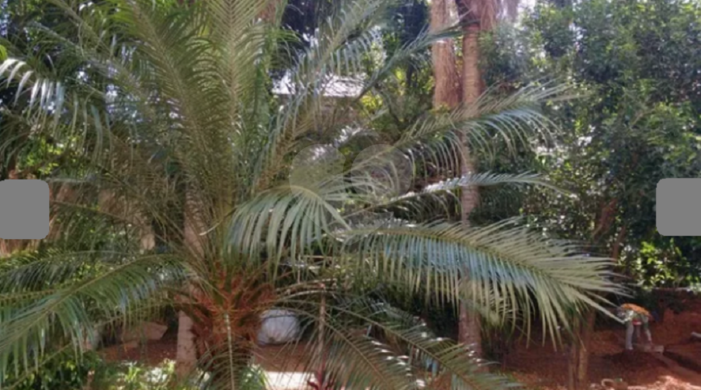 Apartamento garden no condomínio Portal da Casa Verde 