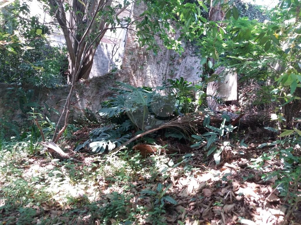 Casa térrea à venda em local tranquilo e arborizado
