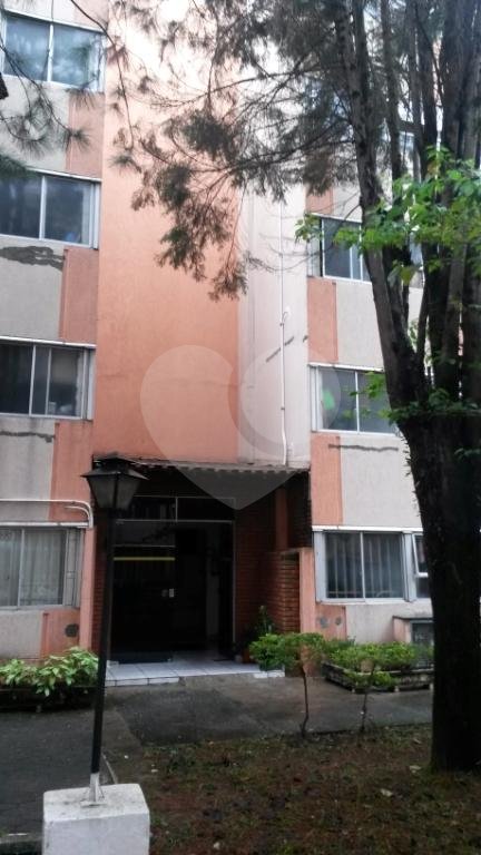 Apartamento amplo e aconchegante, no andar térreo, com 03 dormitórios, a 3 km do metrô Tucuruvi.