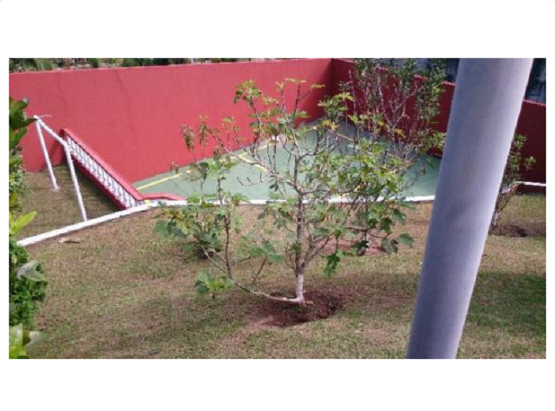  Casa Térrea na Serra da Cantareira em Condomínio Fechado porteira fechada vende com tudo dentro!!