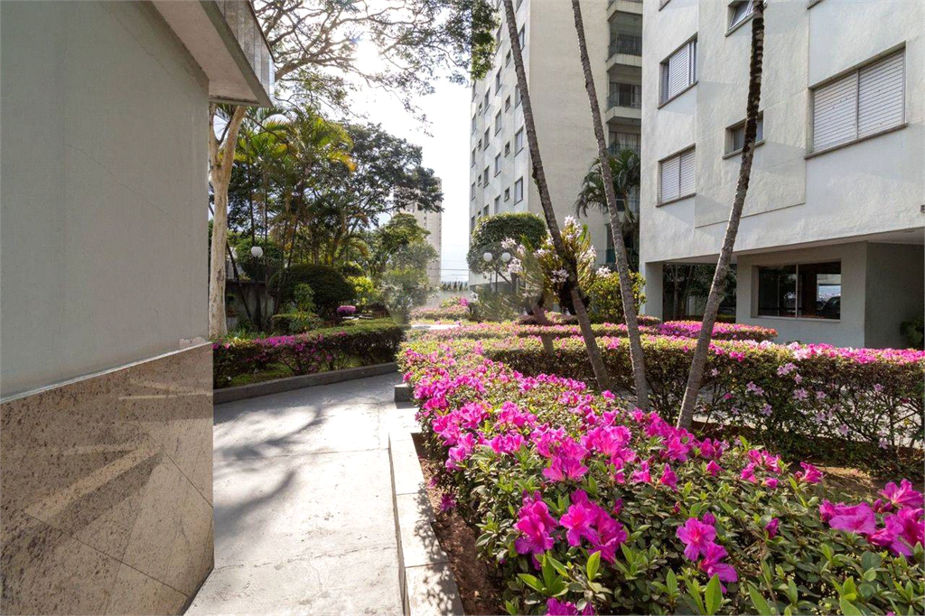 Oportunidade - abaixo da avaliação. Excelente apartamento com dois amplos dormitórios 