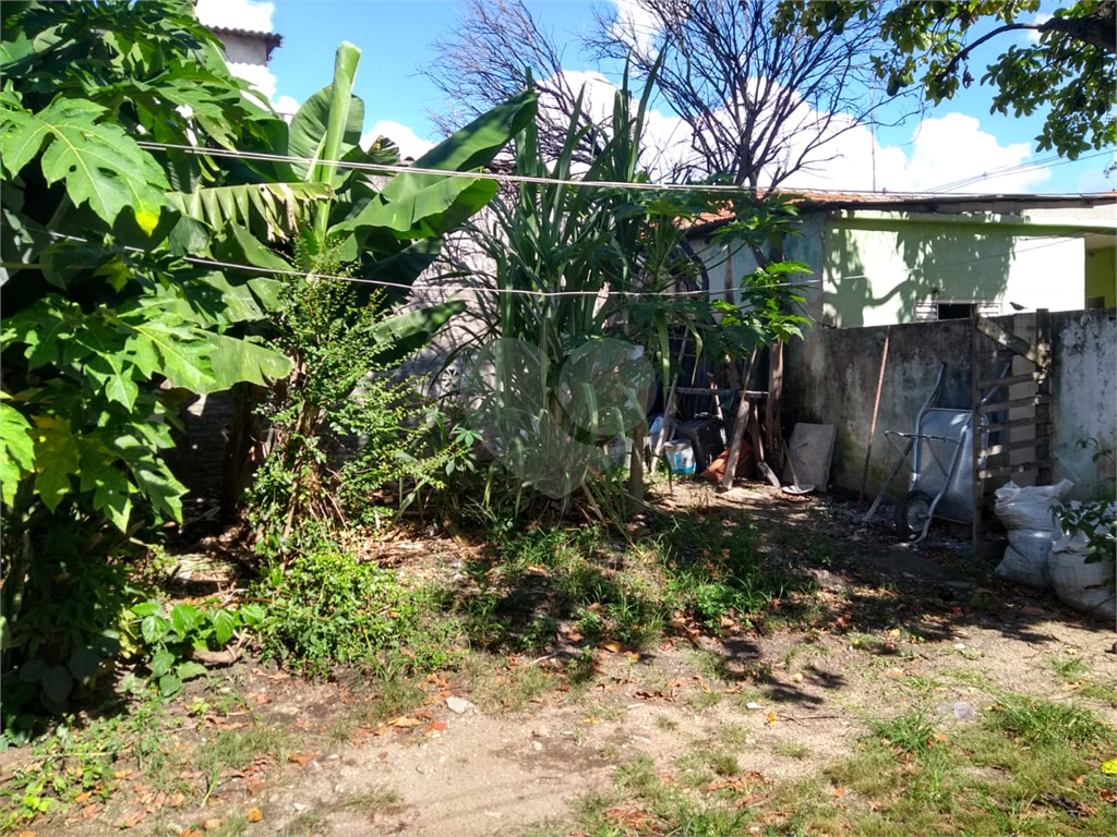 Terreno na Vila Guilherme