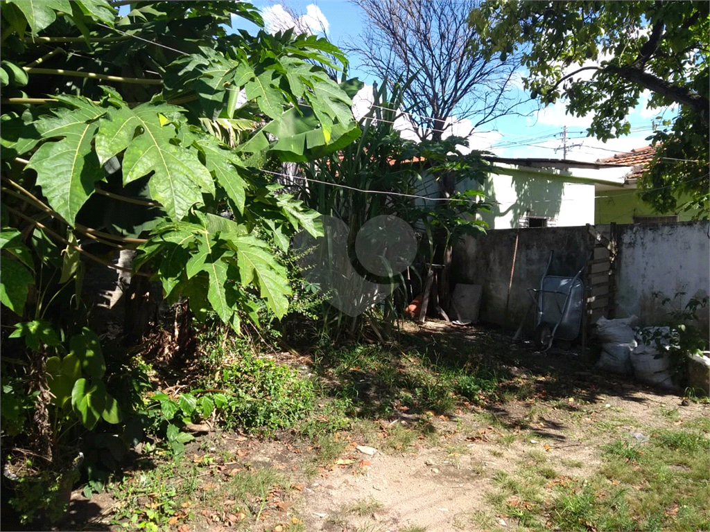 Terreno na Vila Guilherme