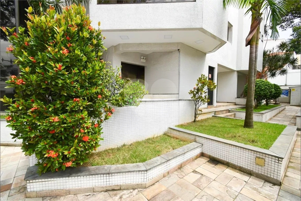 Apartamento residencial Vila Maria 3 dormitórios