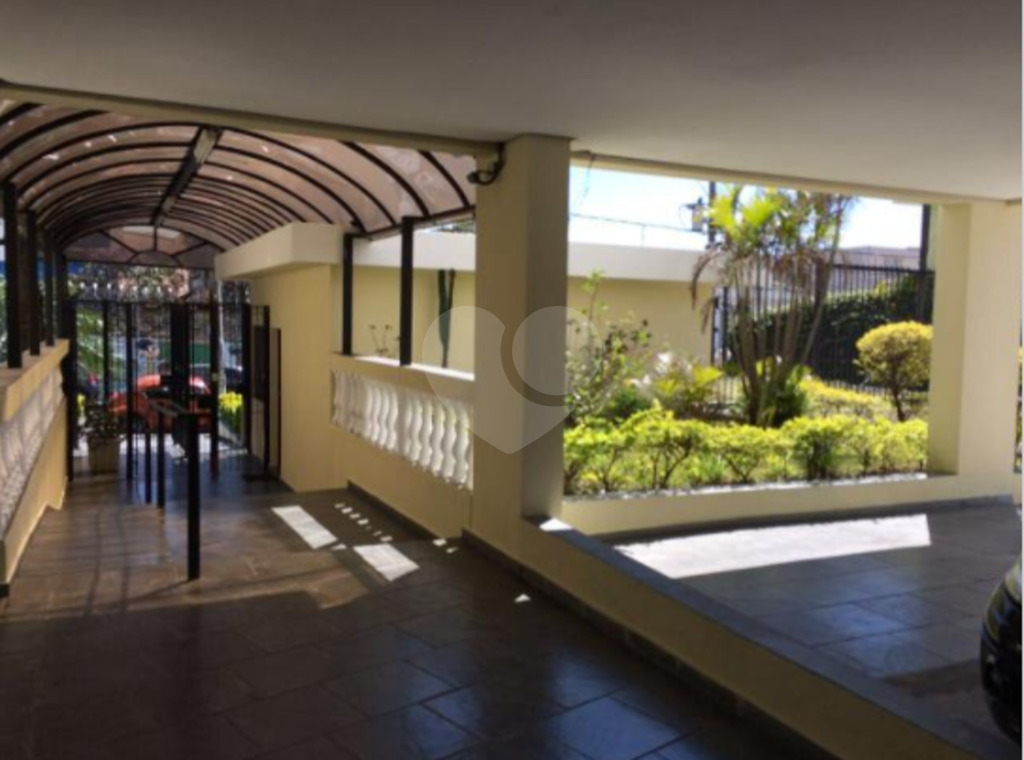 Apartamento limão 
