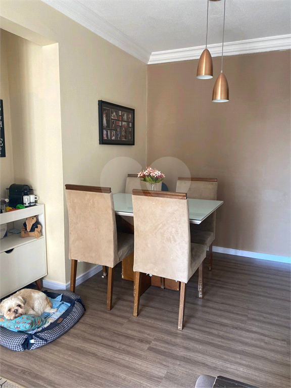 Apartamento limão 