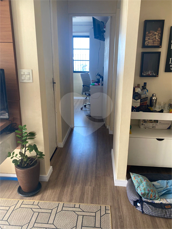 Apartamento limão 