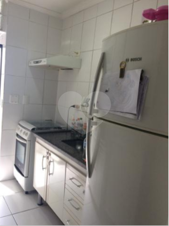 Apartamento limão 