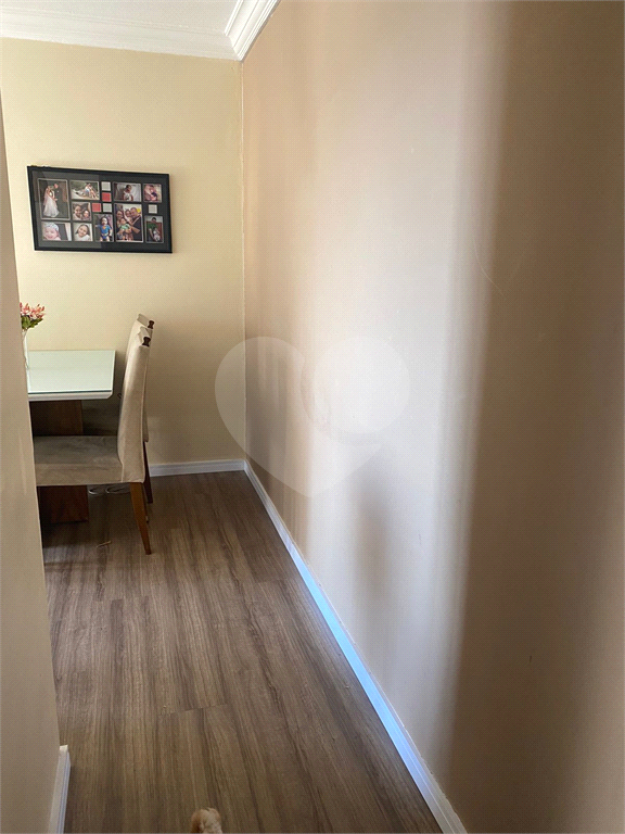 Apartamento limão 