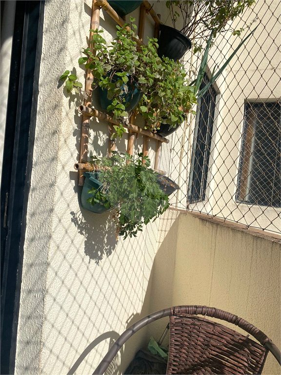Apartamento limão 