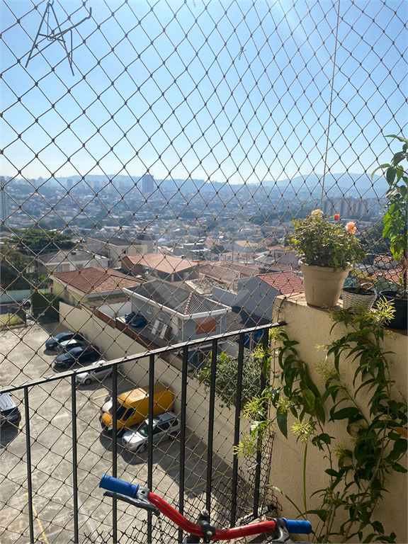 Apartamento limão 