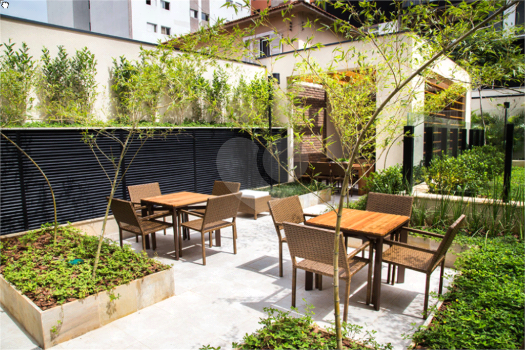 Vista maravilhosa na rua Purpurina!