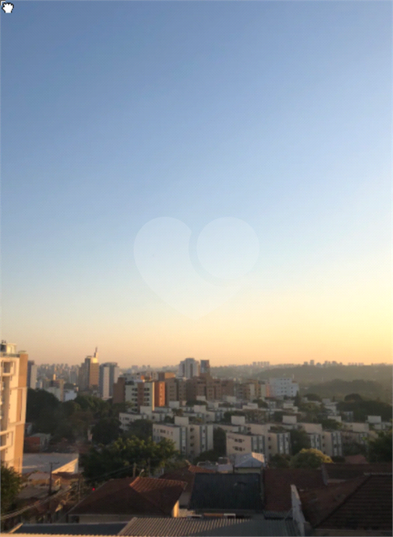 Vista maravilhosa na rua Purpurina!