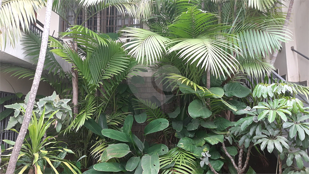 Sobrado, 4 quartos, 336 m² - Foto 8