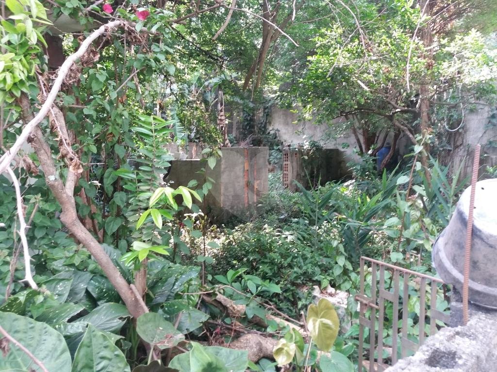 Amplo terreno com 04 casas no J.Paulistana
