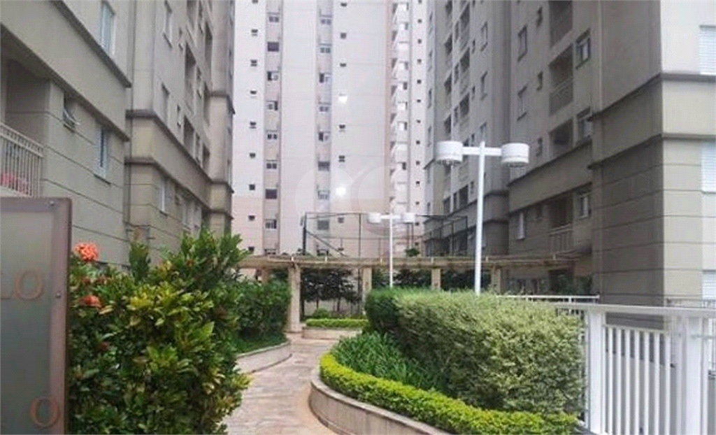 Apartamento no Limão.