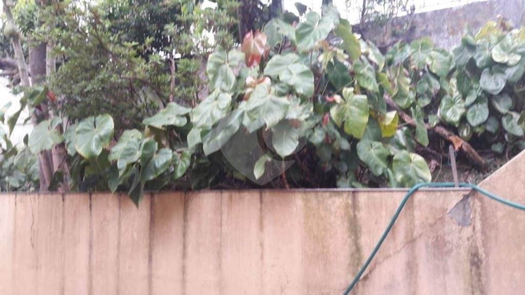 TERRENO STA TERESINHA