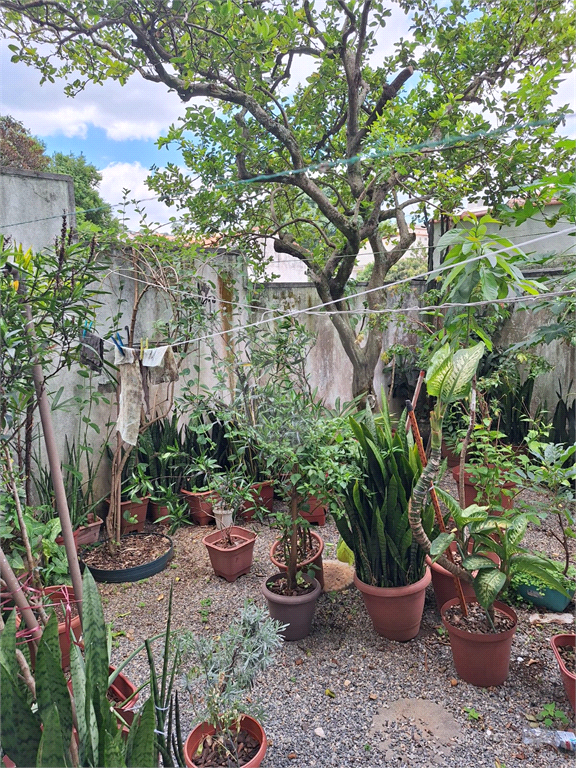 SOBRADO em VILA IRMÃOS ARNONI