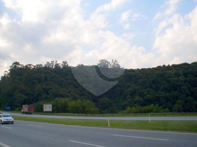 Vista testada para rodovia