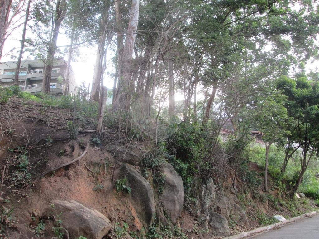 Três lotes de terrenos na região da Nova Cantareira