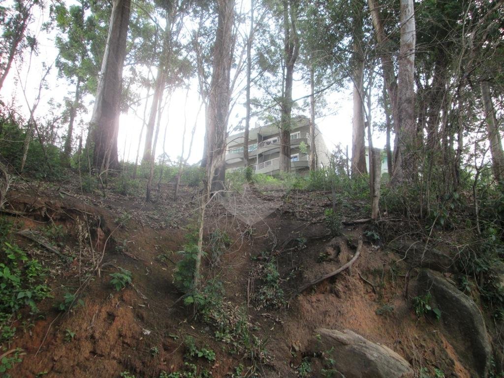 Três lotes de terrenos na região da Nova Cantareira