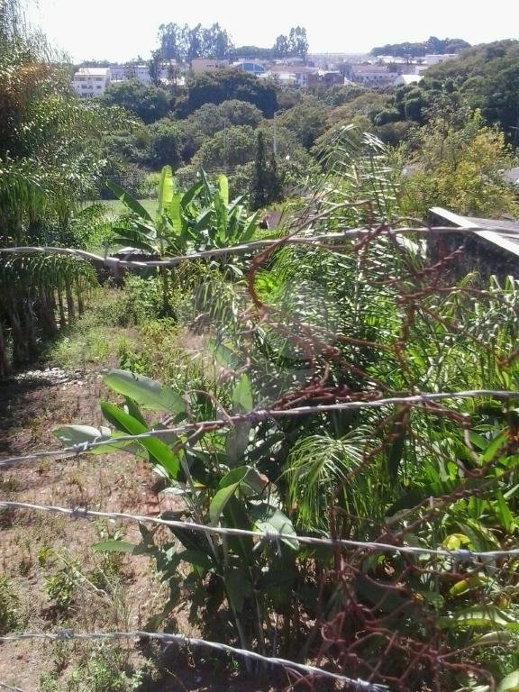 ***ÓTIMO INVESTIMENTO EM ALFENAS SUL DE MINAS GERAIS!!!! TERRENO 12X30M NO CENTRO DA CIDADE****