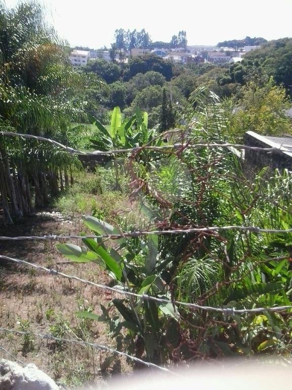 ***ÓTIMO INVESTIMENTO EM ALFENAS SUL DE MINAS GERAIS!!!! TERRENO 12X30M NO CENTRO DA CIDADE****