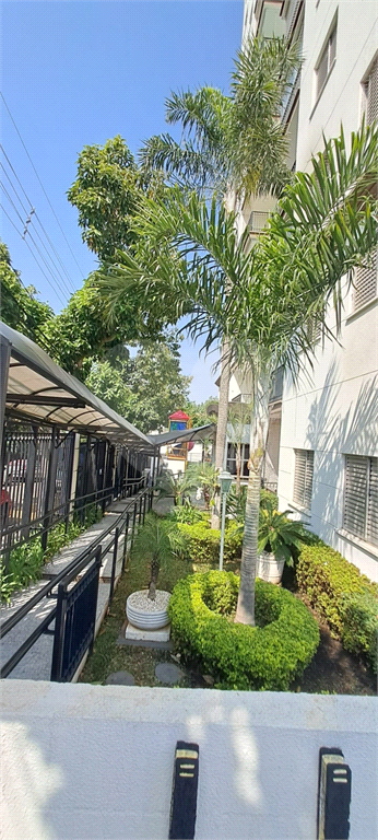 Apartamento na Vila Amélia