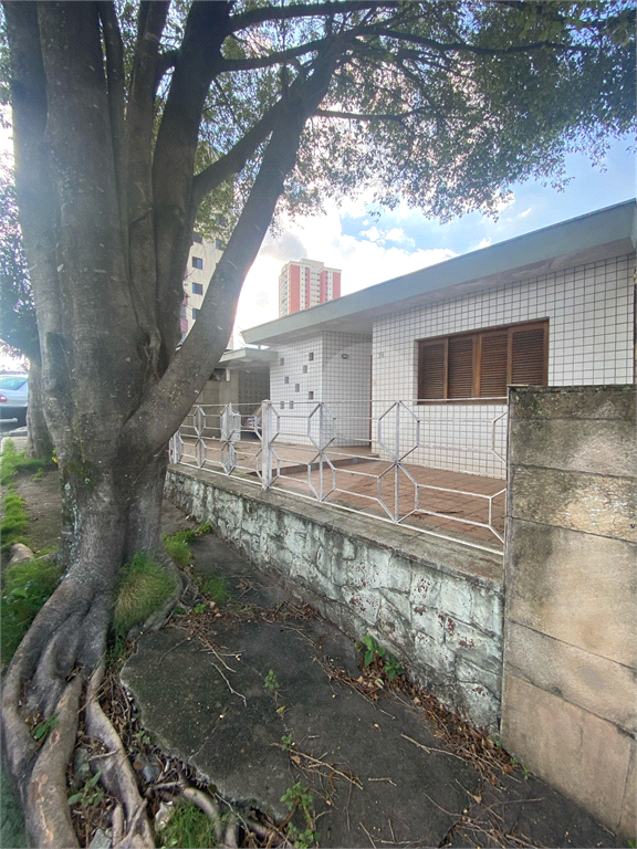 Casa, 3 quartos, 400 m² - Foto 42