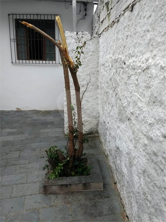 Atenção Investidores e construtores. Terreno no bairro do Horto Florestal.